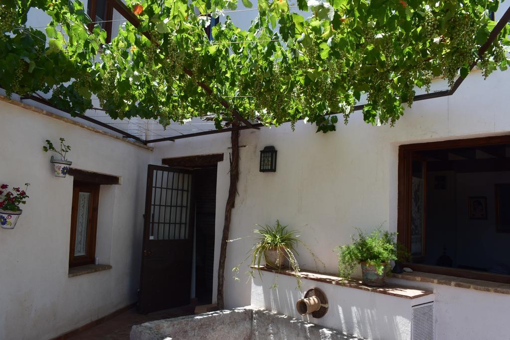 Carmen De Ramilla, Encantadora Guesthouse Con Piscina Soleada Granada Kültér fotó