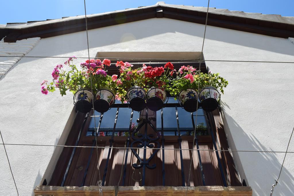Carmen De Ramilla, Encantadora Guesthouse Con Piscina Soleada Granada Kültér fotó