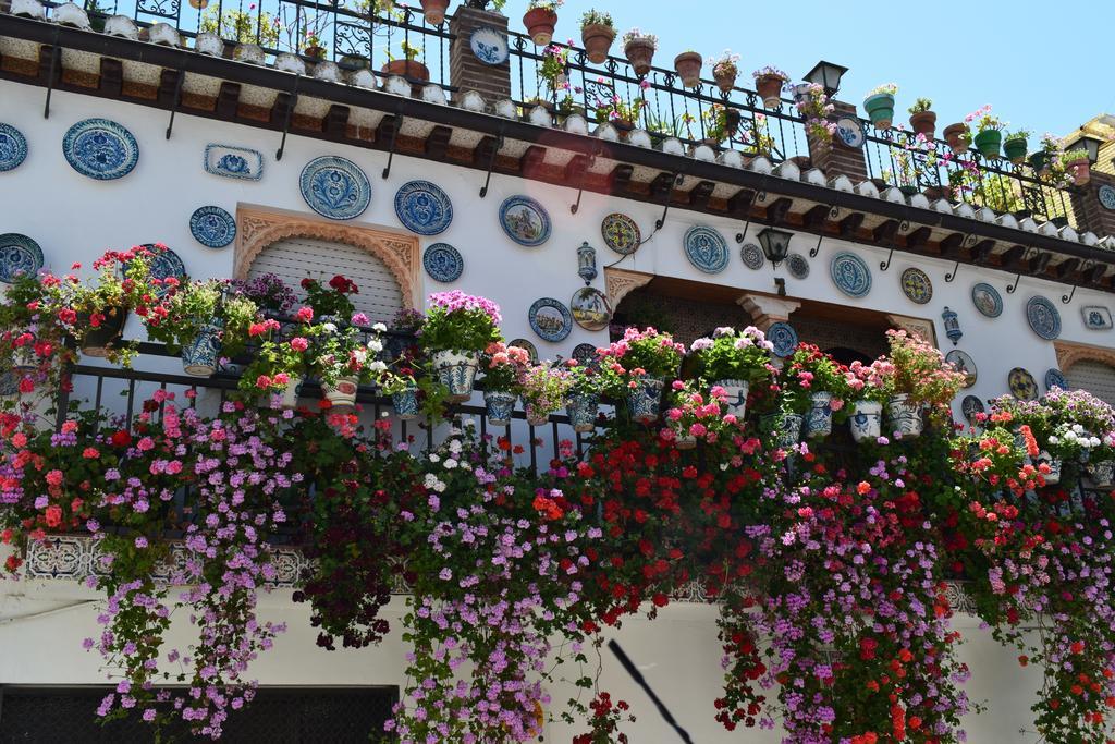 Carmen De Ramilla, Encantadora Guesthouse Con Piscina Soleada Granada Kültér fotó