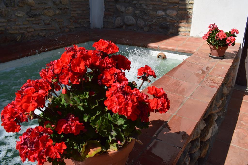 Carmen De Ramilla, Encantadora Guesthouse Con Piscina Soleada Granada Kültér fotó