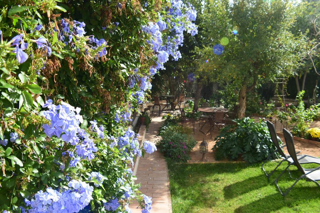 Carmen De Ramilla, Encantadora Guesthouse Con Piscina Soleada Granada Kültér fotó
